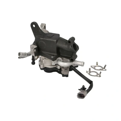 Abbildung von PIERBURG 7.24809.98.0 AGR Ventil elektrisch Steuerventil mit Dichtung VOLKSWAGEN: Polo V Hatchback