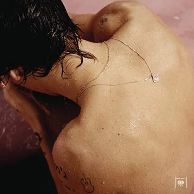 Abbildung von Harry Styles [Vinyl LP]