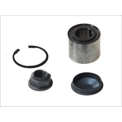 Abbildung von SNR R155.89 Radlagersatz 62 RENAULT: CLIO 3, 2, Kangoo II / Grand