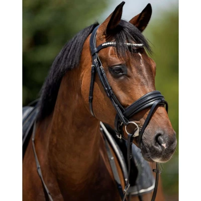 Abbildung von HB Showtime Trense Very Soft Schwarz VB