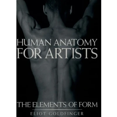 Abbildung von Human Anatomy for Artists: The Elements of Form
