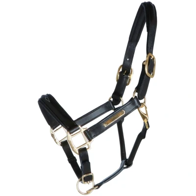 Abbildung von HB Showtime Halfter Horse Name Leder Braun Warmblut Agradi.deVerkauft von Agradi