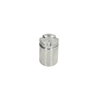 Abbildung von AUTOFREN SEINSA D025602 Kolben, Bremssattel 36 Hinterachse TRW