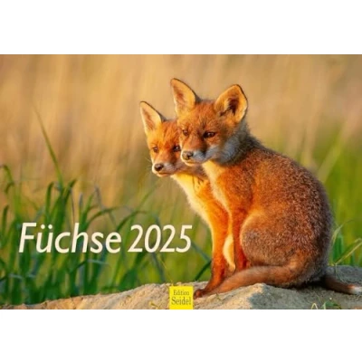 Abbildung von Edition Seidel Premium Kalender Füchse 2025 Format DIN A3 Wandkalender Tierkalender Fuchs Tiere Wildtiere Waldtiere Raubtiere Natur