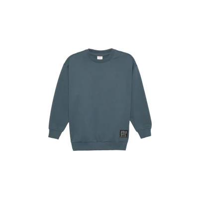 Abbildung von s.Oliver Junior Jungen 2160639 Pullover, 9515, 152 EU