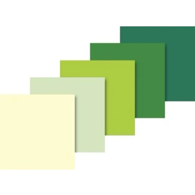 Abbildung von Heyda 203375739 Seidenpapier, sortiert 50 x 70 cm, 5 Farben (French Vanilla, pastellgrün, Hellgrün, mittelgrün, Dunkelgrün)