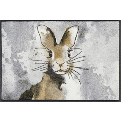 Abbildung von wash+dry Fußmatte, Hopps 50x75 cm, innen und außen, waschbar