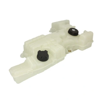 Abbildung von THERMOTEC DBDA006TT Ausgleichsbehälter DAF: LF 55