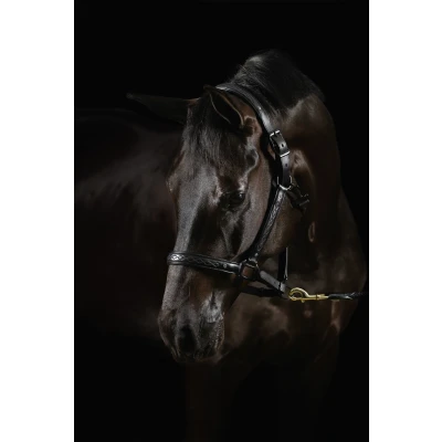 Abbildung von Mrs. Ros Halfter Diamond Deluxe Movie Star Leder Schwarz Vollblut