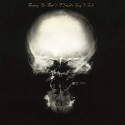 Abbildung von Mind Is a Terrible Thing to Taste [Vinyl LP]