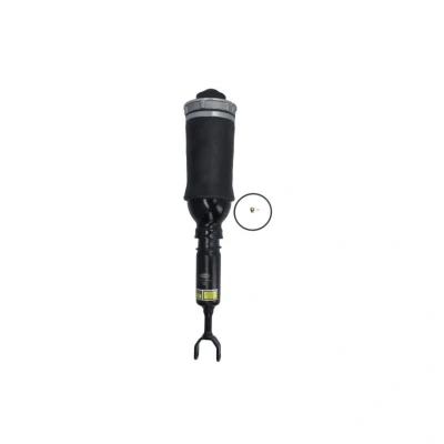 Abbildung von Luftfederbein MAGNETI MARELLI 350031000001