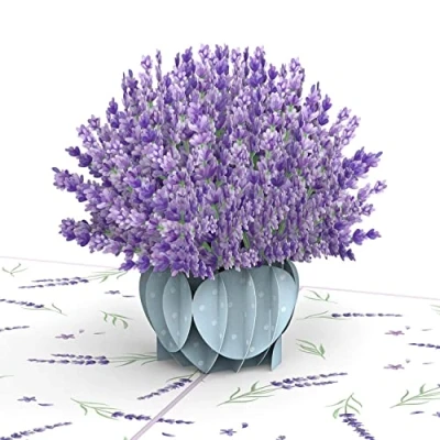 Abbildung von papercrush® Pop Up Liebeskarte Lavendel 3D Blumenkarte für Frau und Freundin (Valentinstag, Geburtstagskarte, Gute Besserung, Genesung, Dankeskarte), Glückwunschkarte zum Geburtstag Mama