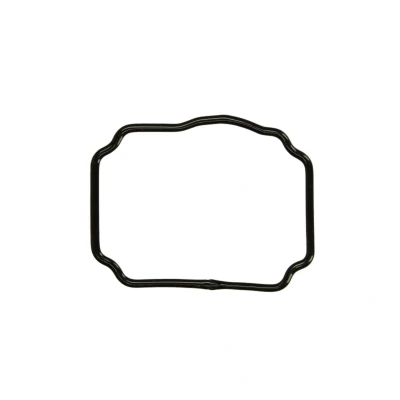 Abbildung von DT Spare Parts 1.24174 Dichtung, Gehäusedeckel (Kurbelgehäuse)