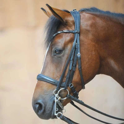 Abbildung von Kavalkade Ivonne Combi Bridle Snaffle and Double
