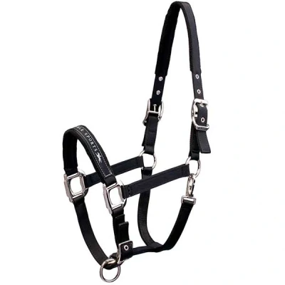 Abbildung von Schockemöhle Halfter Memphis Nylon Schwarz Pony