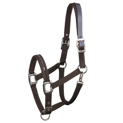 Abbildung von Schockemöhle Halfter Memphis Breakaway Nylon Chocolate Pony