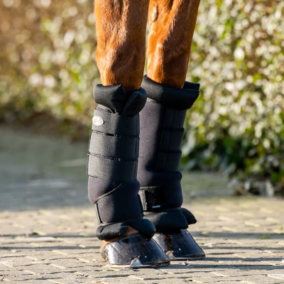 Abbildung von HB Showtime Stable and Travel Boots