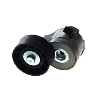 Abbildung von SNR GA358.03 Spannrolle FIAT: Ducato III Van