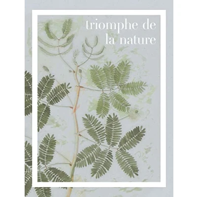 Abbildung von Komar Wandbild »Triomphe de la nature«, (1 St.), Deutsches Premium Poster Fotopapier mit seidenmatter Oberfläche und hoher Lichtbeständigkeit. Für fotorealistische Drucke gestochen scharfen Details hervorragender Farbbrillanz.