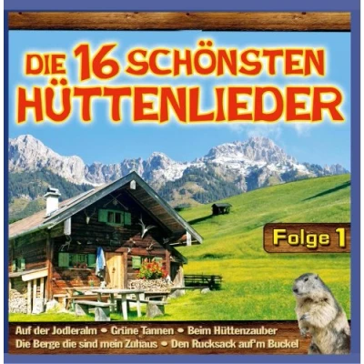 Abbildung von die 16 Schönsten Hüttenlieder; Folge 1; Grüne Tannen; Wo Der Wildbach rauscht; alte Jäger; Zillertaler Schürzenjäger; Willi Kröll; Da und Geigerin; Milser Buam; Klostertaler; Haderlumpen; 4 Tiroler