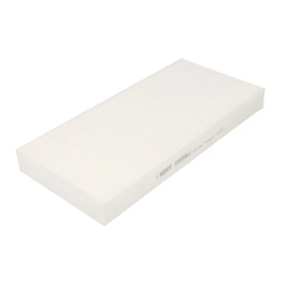 Abbildung von HENGST FILTER E6955LI Innenraumfilter Pollenfilter 356 162 37 MAN: TGS