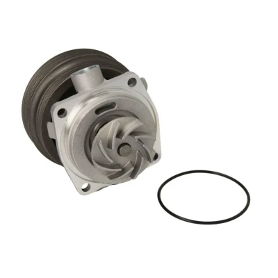 Abbildung von THERMOTEC D1F070TT Wasserpumpe mit Dichtung mechanisch 122,5 ohne Gehäuse FIAT: Doblo I Cargo