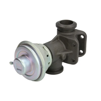 Abbildung von MAGNETI MARELLI 571822112103 AGR Ventil
