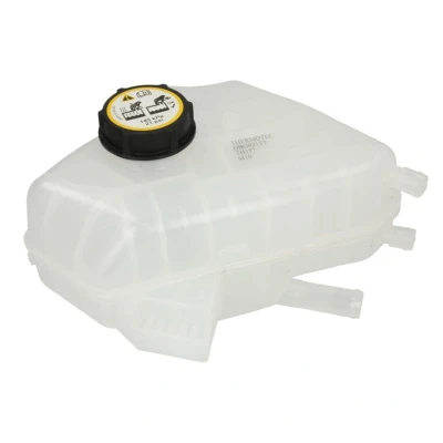 Abbildung von THERMOTEC DBG021TT Ausgleichsbehälter FORD: FIESTA 6