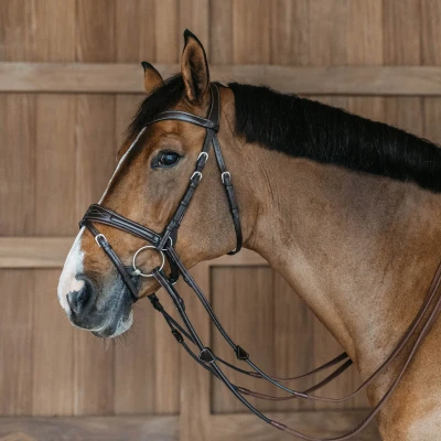 Abbildung von Dyon Working Motion Bridle