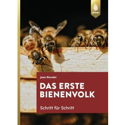 Abbildung von Das erste Bienenvolk Schritt für