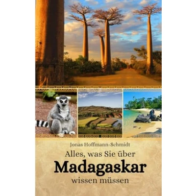 Abbildung von Alles, was Sie über Madagaskar wissen müssen