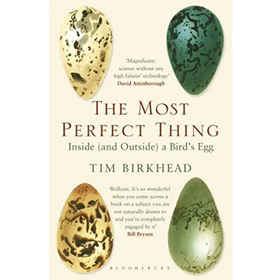 Abbildung von The Most Perfect Thing: Inside (and Outside) a Bird’s Egg