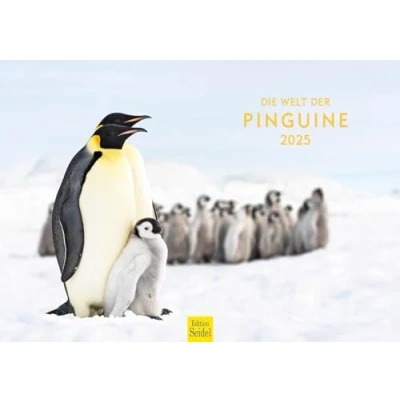 Abbildung von Edition Seidel Premium Kalender Die Welt der Pinguine 2025 Format DIN A3 Wandkalender Tierkalender Südpol Antarktis Pinguin Kücken Vögel Seevögel