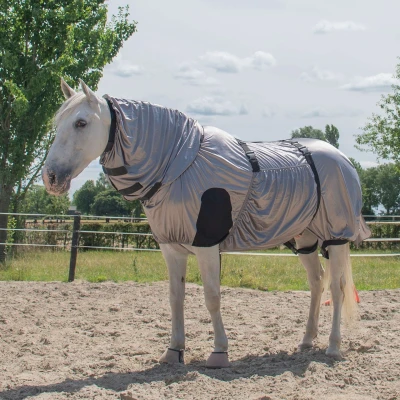 Abbildung von Harry&#039;s Horse Ekzema/Fliegendecke UV 130/175