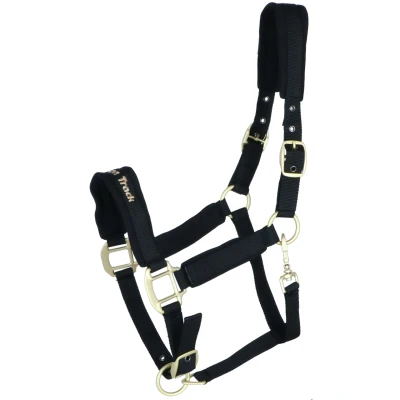 Abbildung von Back on Track Halfter Werano Schwarz Pony