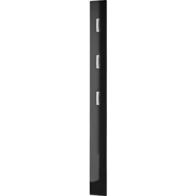 Abbildung von Germania 3255 83 Garderobenpaneel mit ausklappbaren Kleiderhaken Colorado in Schwarz Hochglanz, 15 x 170 4 cm (BxHxT)