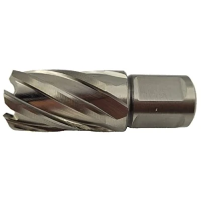 Abbildung von WRS Präz. Kernbohrer aus HSS, 30 mm Schnitttiefe, 19 Weldonschaft, Größen Name: 24,0 Ø