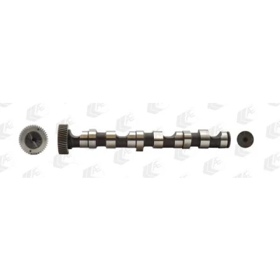 Abbildung von AE CAM703 Nockenwelle für Zylinder 1 3, Auslassseite AUDI: A6 C5 Avant, A4 B6 VOLKSWAGEN: Passat B5 GP Estate, Estate
