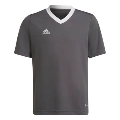 Abbildung von adidas Performance Entrada 22 FußballTrikot für Kinder, Größe: 128, Grey