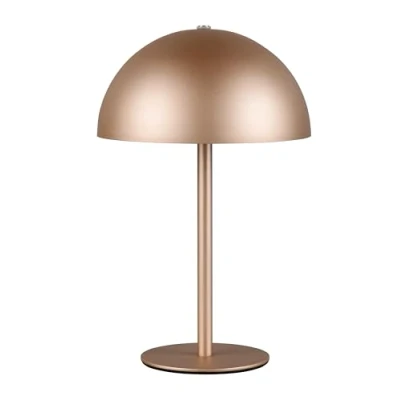 Abbildung von Reality Leuchten LED Akku Tischleuchte Munoz R54891165, Metall Coffee, inkl. 1.3 Watt LED, 4 fach Touch