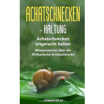 Abbildung von Achatschnecken Haltung: artgerecht halten Wissenswertes über die Afrikanische Achatschnecke