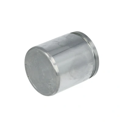 Abbildung von AUTOFREN SEINSA D41709C Bremssattel Reparatursatz 48 TOYOTA: Land Cruiser Prado 120, 150, PEUGEOT: 107 Hatchback