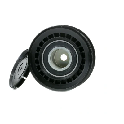 Abbildung von INA 531 0733 10 Spannrolle VOLKSWAGEN: TRANSPORTER 4, 4 Bus
