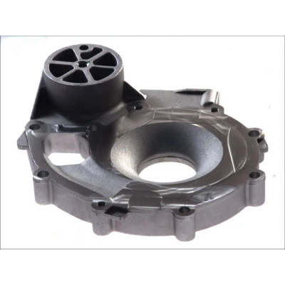 Abbildung von DT Spare Parts 1.11165 Gehäuse, Wasserpumpe