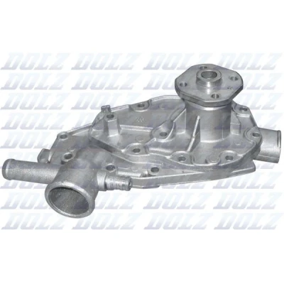 Abbildung von DOLZ R142 Wasserpumpe integriertes Gehäuse RENAULT: 12 Saloon