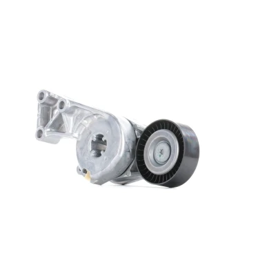 Abbildung von SKF VKM 31011 Spannrolle VOLKSWAGEN: Transporter 5, Golf 4, SKODA: Fabia I Hatchback, Octavia 2 Combi, 1 AUDI: A3 Hatchback