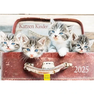 Abbildung von Edition Seidel Premium Kalender Katzen Kinder 2025 Format DIN A4 Wandkalender Katzenkalender Haustiere Kätzchen Katze Kater Kitten Katzenkinder