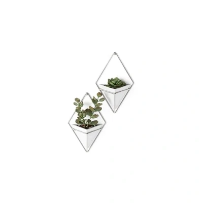 Abbildung von Umbra Trigg Wandvase &amp; Geometrische Deko Übertopf Für Zimmerpflanzen, Sukkulenten, Luftpflanzen, Kakteen, Kunstpflanzen und Mehr, Weiss/Nickel, 2er Set, Klein