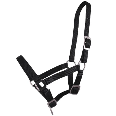 Abbildung von QHP Halter Foal