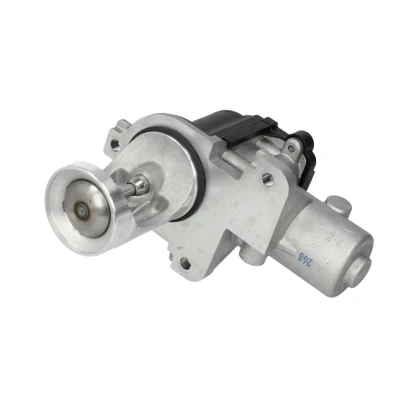 Abbildung von PIERBURG 7.00365.06.0 AGR Ventil elektrisch Steuerventil mit Dichtung VOLKSWAGEN: Passat B5 GP Estate, Multivan 5 (7HM, Transporter Bus